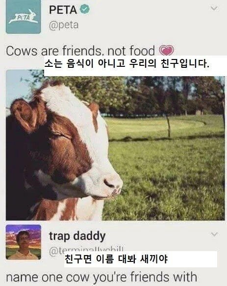    소는 음식이 아니고 우리의 친구입니다.