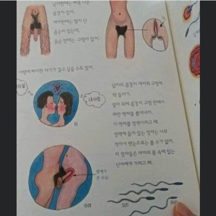    ㅎㅂ) 요즘 초등학교 성교육 동화책