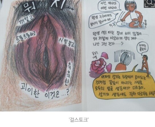    ㅎㅂ) 요즘 초등학교 성교육 동화책