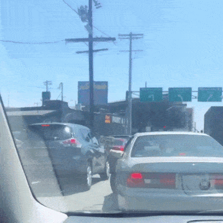 미국의 초보 운전자.gif