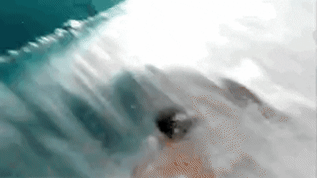 파도타기 1인칭 시점.gif