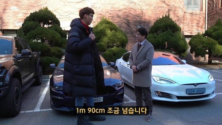    221cm vs 190cm