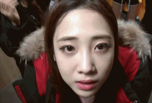 8.2.gif