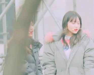 43ae0f3f51e469282a909b393ee250b6.gif