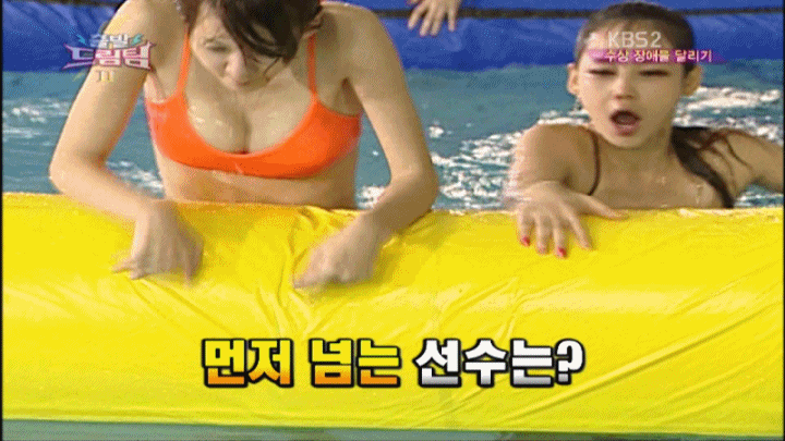    수영 드림팀