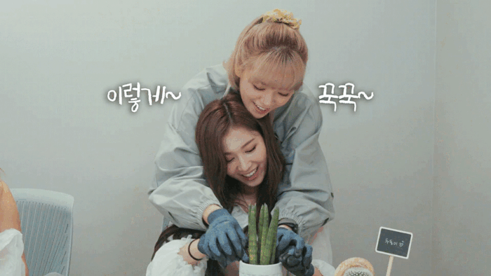 img1.daumcdn.net1 (1).gif