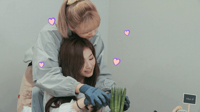 img1.daumcdn.net (1).gif