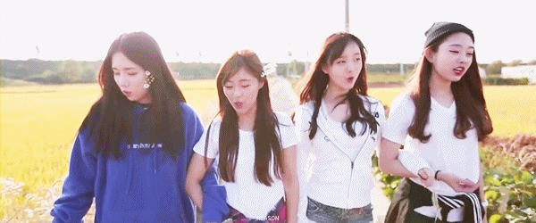w000 (39).gif