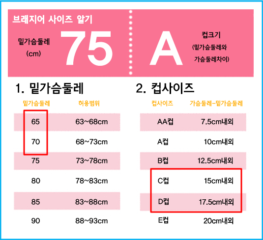    중국예능을 바탕으로 성소 슴가 사이즈 추측하기