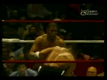12017-2.gif