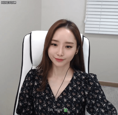 Honeycam 16448.gif