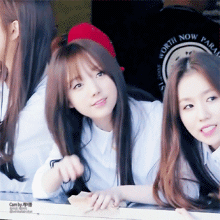 251595369.gif