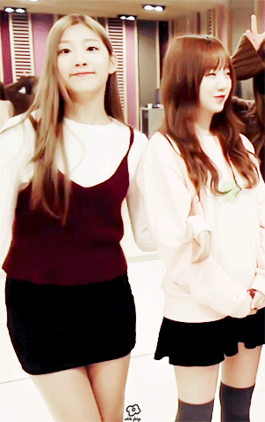 16051-5.gif