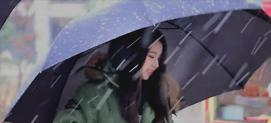 16419-5.gif