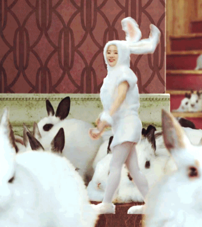 16113-3.gif