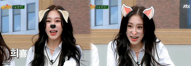 댕여우 서지수.gif