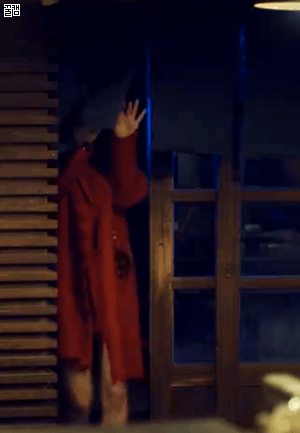 17784-1.gif