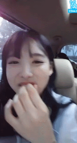 17242-5.gif