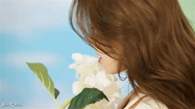17388-2.gif
