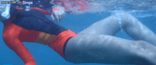 149375954889352.GIF
