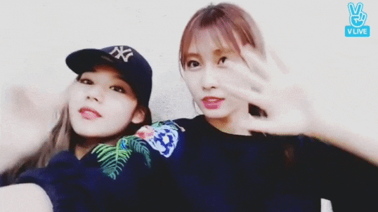 20118-1.gif