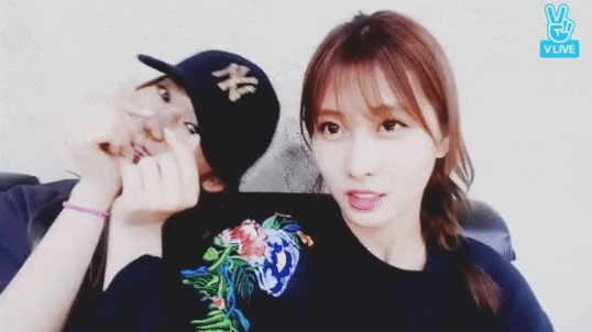 20118-2.gif