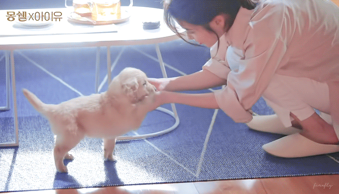2080728795_rFezIRV7_bd2667f0fbf30fc03b2caf535ed0a02455cbf346.gif