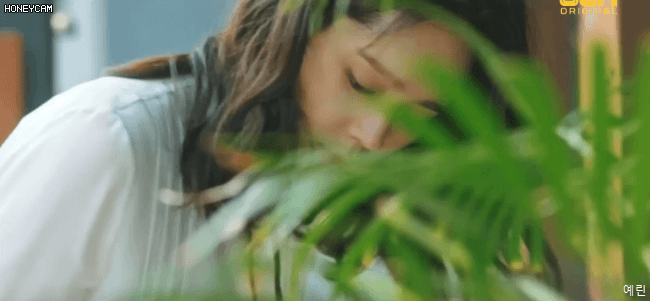990219716_bxvhC7Ua_184d1e52fd9b0480817a42723094c8423c0bc0b6.gif
