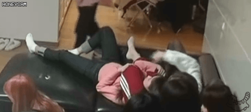 868f3379d5b9ec40d78af4961d042927_1621442180_1012.gif