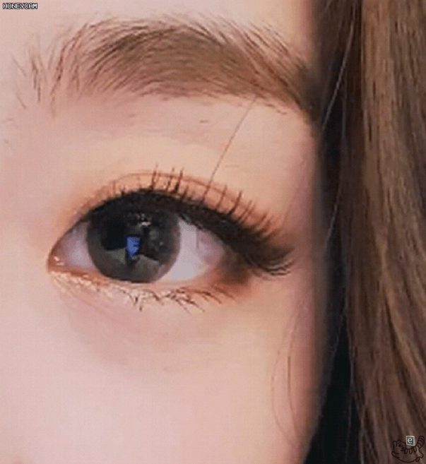 c95c672affac0364cd93d733f1a154db_1622466766_5606.gif