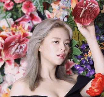 2890211863_wC4iks3X_5b54a1b9884d26c00ae907327b1540673ad34488.gif