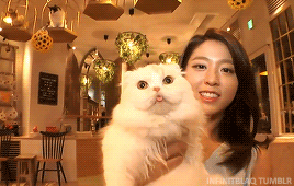 8adf086cadca47303e4de794b164b753_1625691021_831.gif