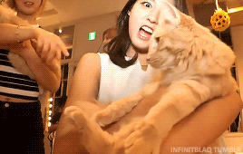 8adf086cadca47303e4de794b164b753_1625691036_9636.gif