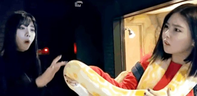 8aa51c9341f894cbf20b2e38837f2116_1627803499_4802.gif