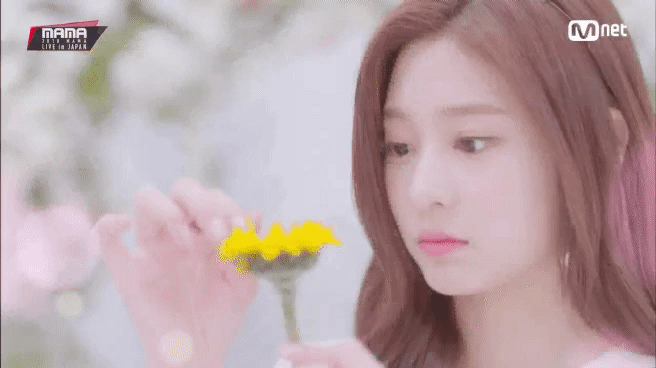 b0b266af895a14eb5c22051c672c82b0_1628039348_3131.gif