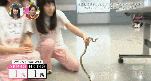 faf22b231d208ab280d1fb37fbc1311d_1628310817_8587.gif
