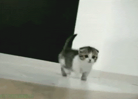 8ae67abfe6d4d034f5d75178fee62275_1643170689_8171.gif