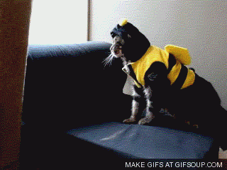 8ae67abfe6d4d034f5d75178fee62275_1643170722_1167.gif