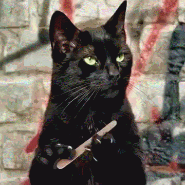 8ae67abfe6d4d034f5d75178fee62275_1643170754_3248.gif