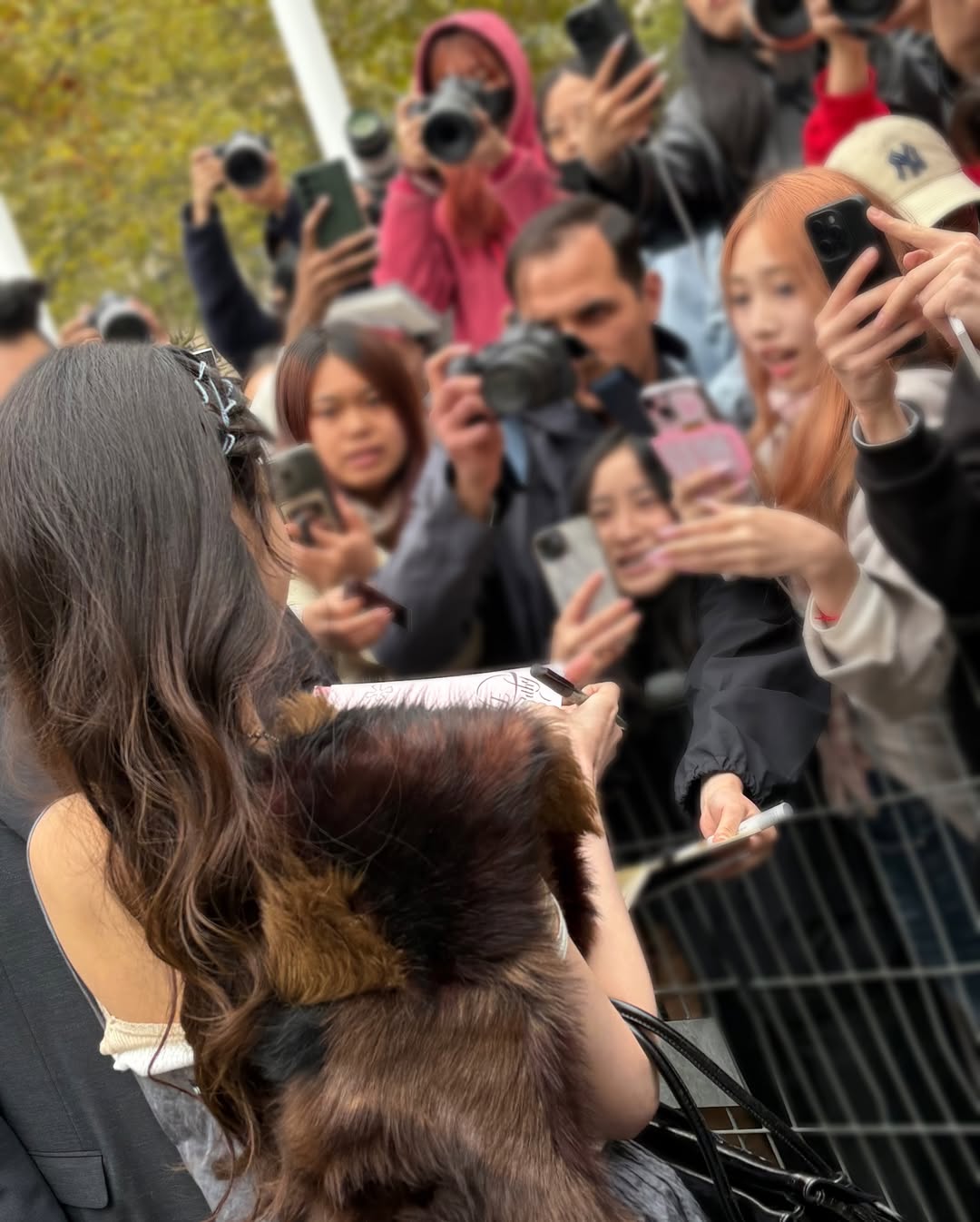 559563976_18077425871587664_4034157301242340808_n.jpg 오늘자 아이브 장원영 인스타