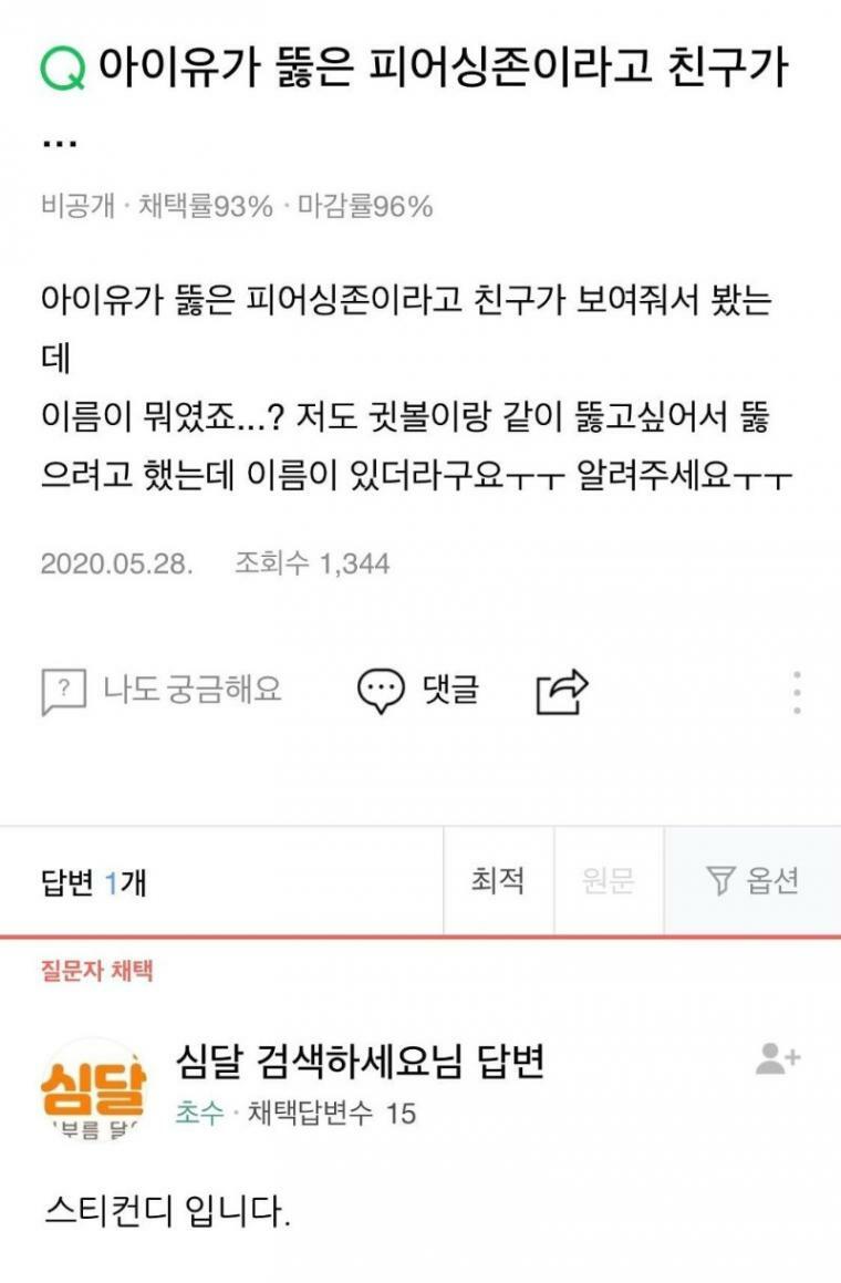 아이유 피어싱존