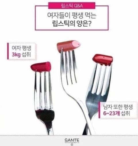 남자들이 평생 먹는 립스틱 양