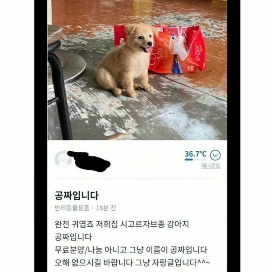 당근마켓에 올라온 공짜