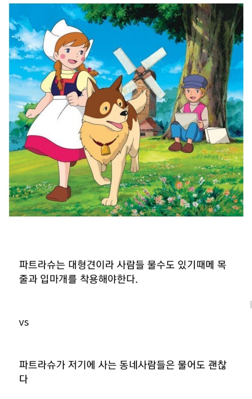 대형견 입마개 논란