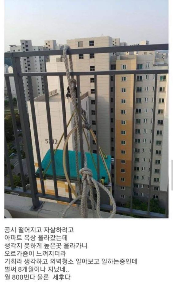 자살 할려다가 월 800 버는 썰