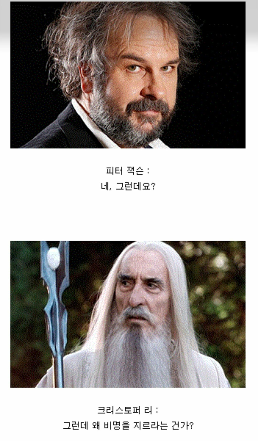 머라는거임?? 님 미필임?