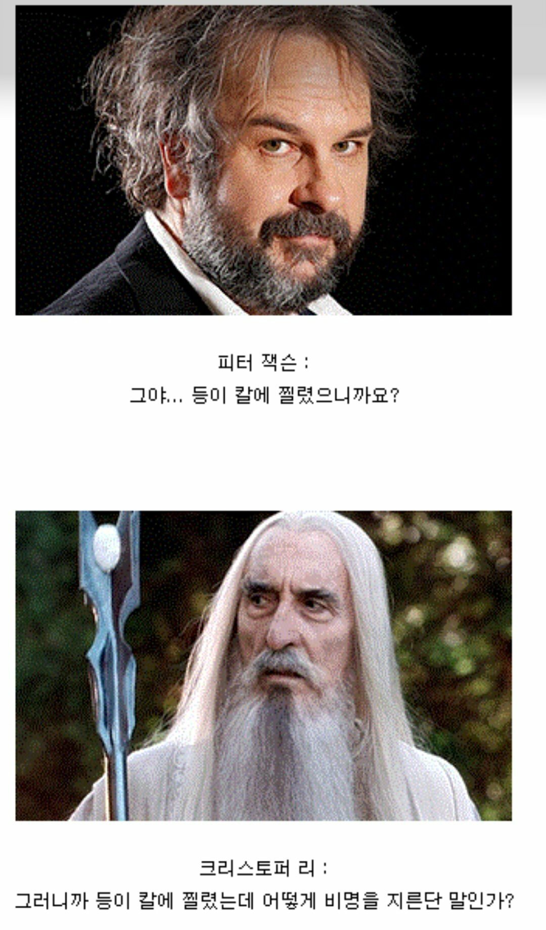 머라는거임?? 님 미필임?