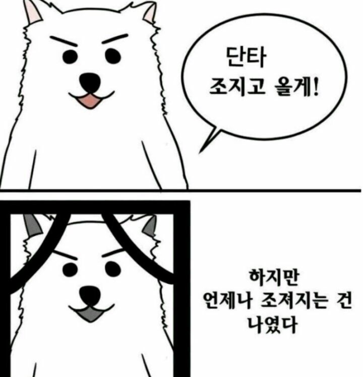 모더나 백신 합리적의심가는 사람