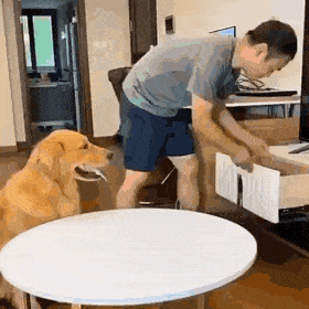 13027_0_i016345925338.gif