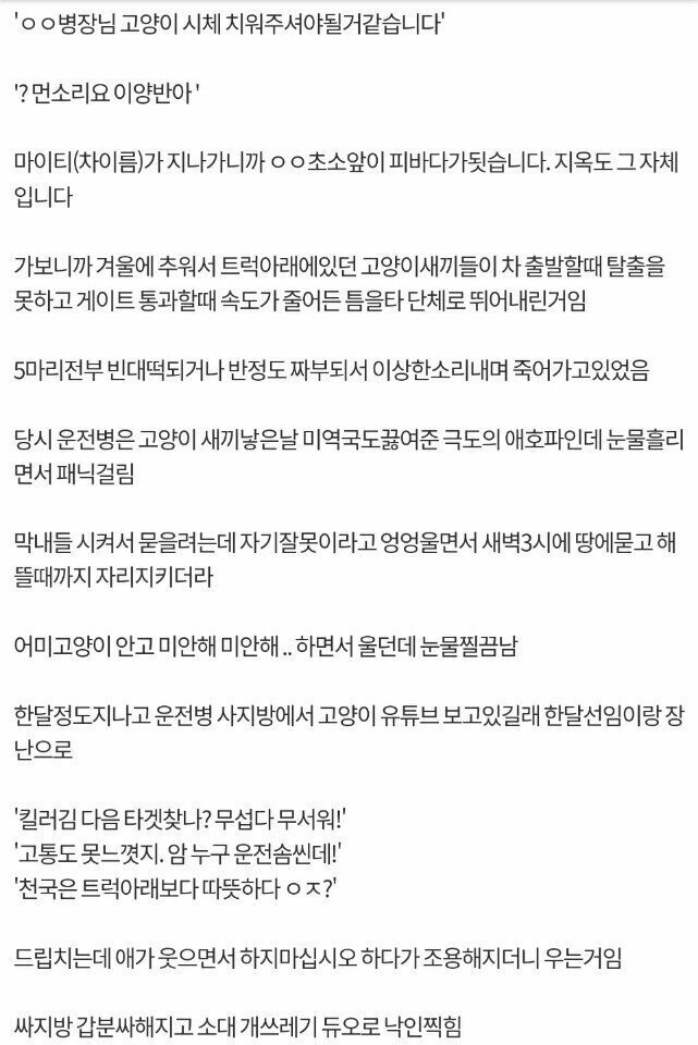 군대 후임병 울렸다가 개쓰레기 된 썰